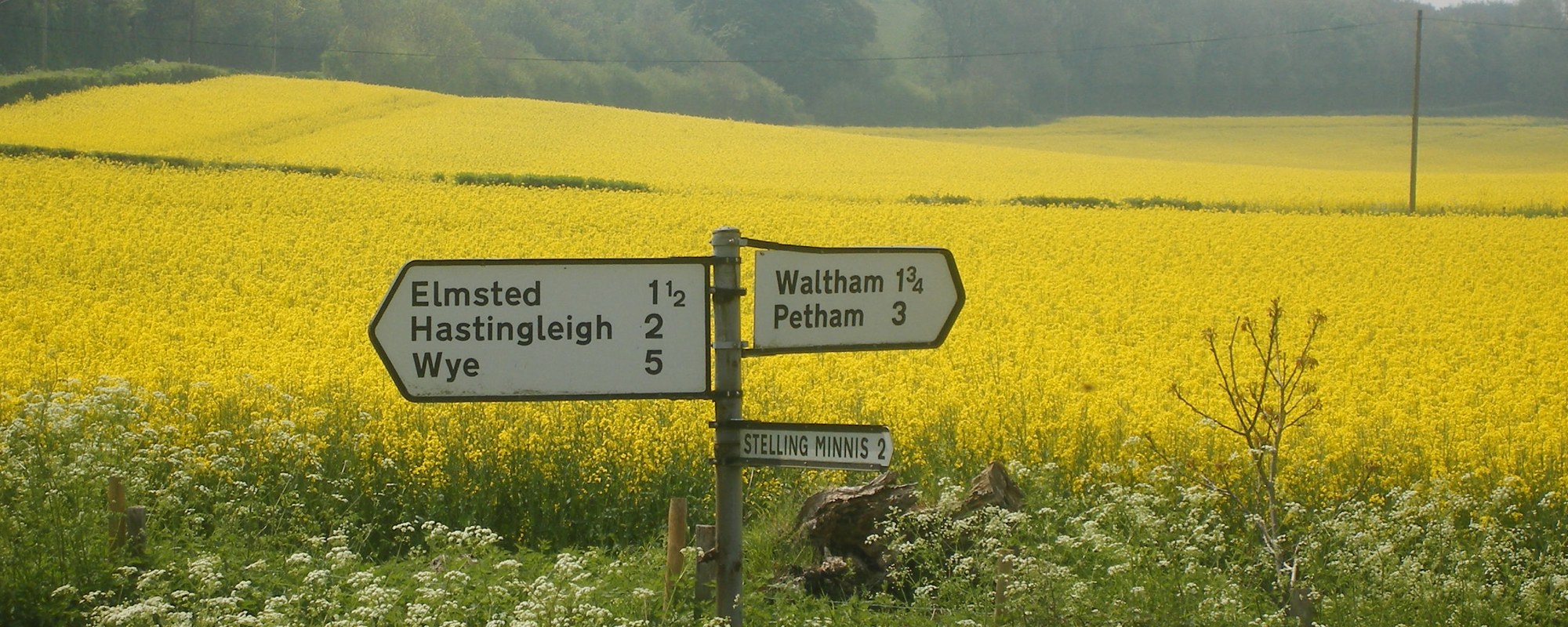 Road signs to villages close to Bodsham, Kent